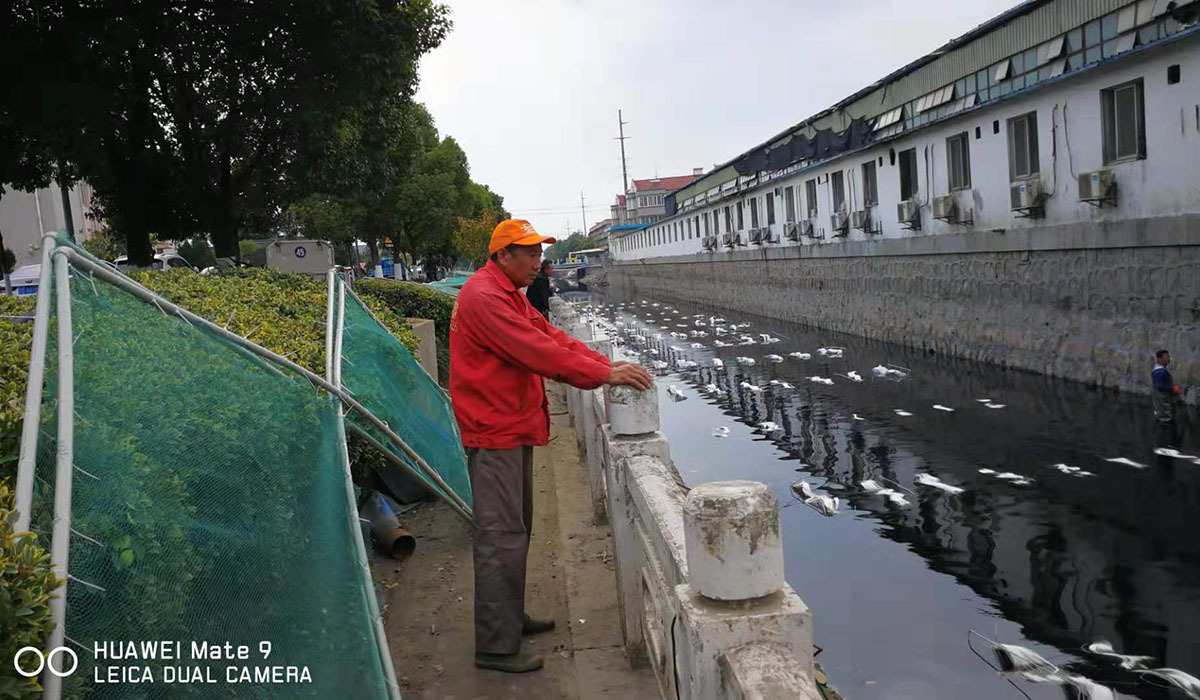 污水整治